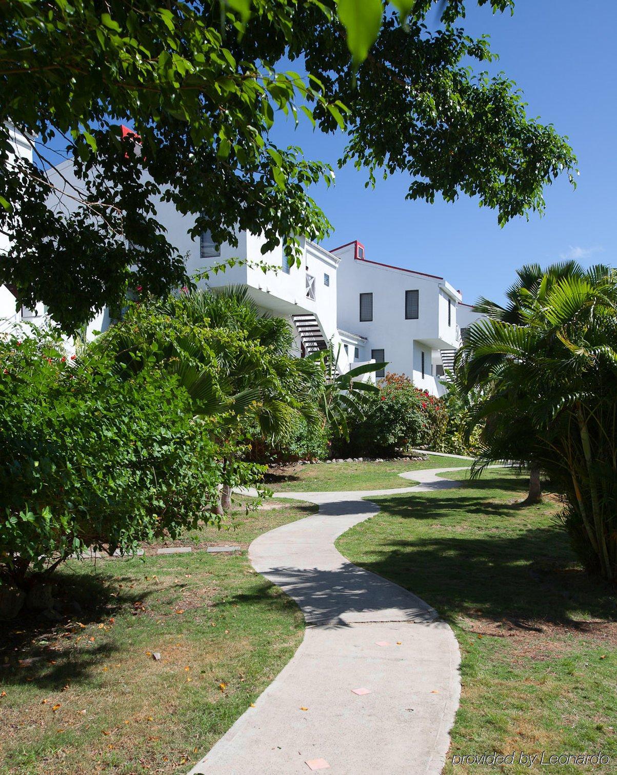 Coconut Beach Club Resort St. John's Exterior photo