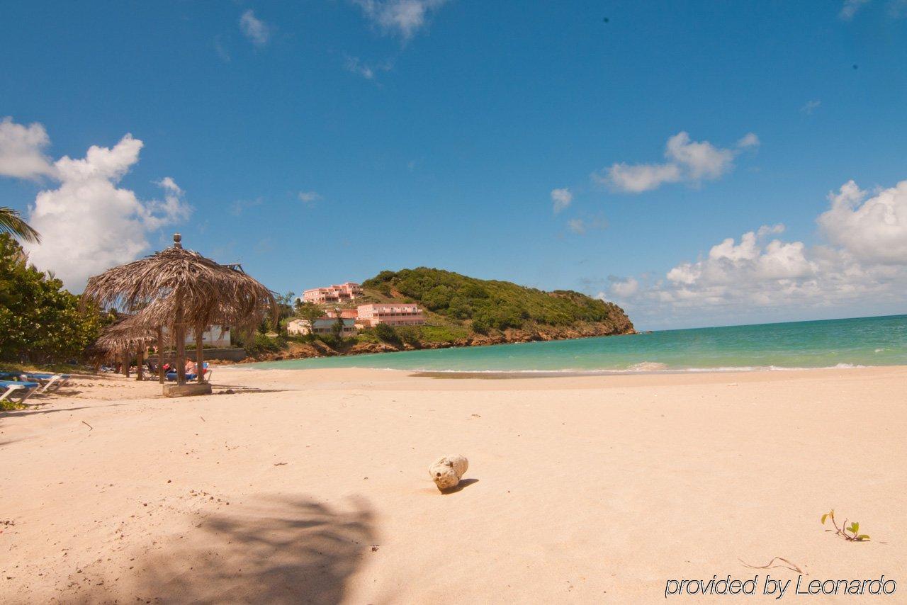 Coconut Beach Club Resort St. John's Facilities photo